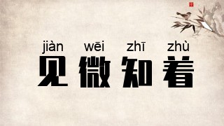 见微知着