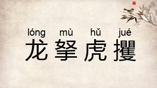 龙拏虎攫