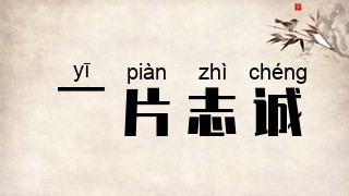 一片志诚