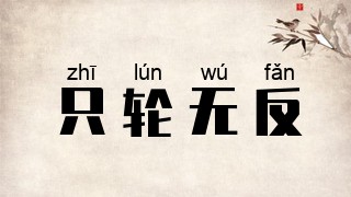 只轮无反
