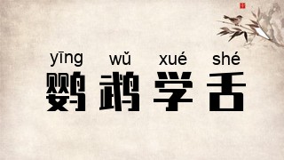 鹦鹉学舌