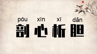 剖心析胆