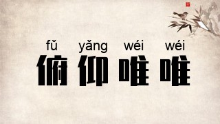 俯仰唯唯