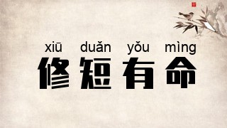 修短有命