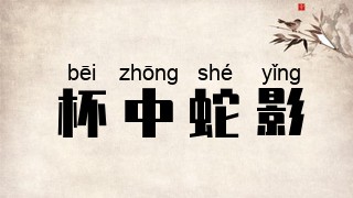 杯中蛇影