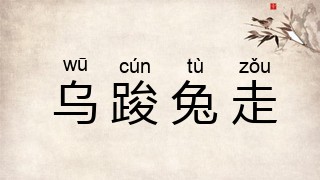 乌踆兔走