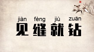见缝就钻