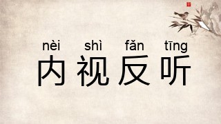 内视反听