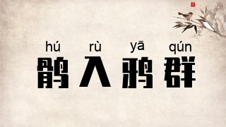 鹘入鸦群