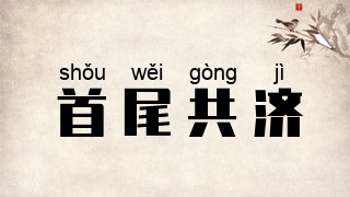 首尾共济