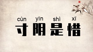 寸阴是惜