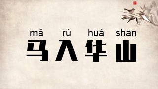 马入华山