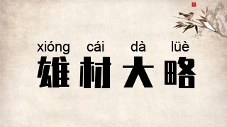 雄材大略