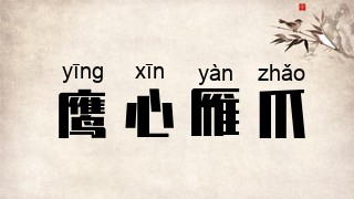 鹰心雁爪