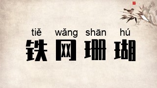 铁网珊瑚