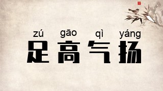 足高气扬