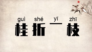 桂折一枝