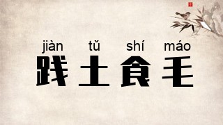 践土食毛