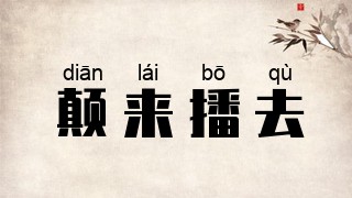 颠来播去