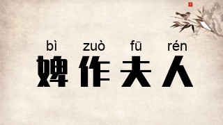 婢作夫人