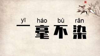 一毫不染