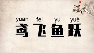 鸢飞鱼跃