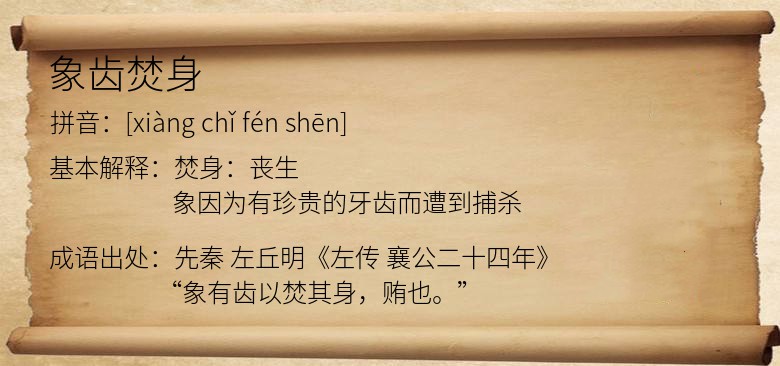 象齿焚身