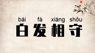 白发相守