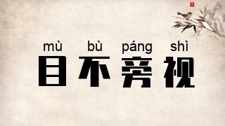 目不旁视