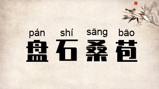盘石桑苞