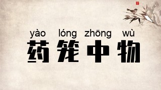 药笼中物