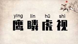 鹰瞵虎视
