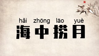 海中捞月