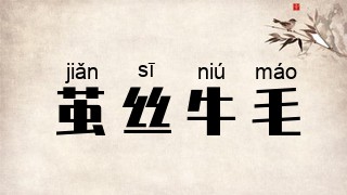 茧丝牛毛