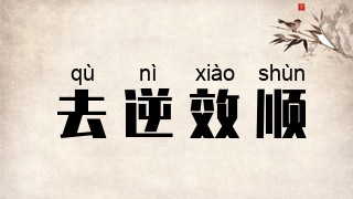 去逆效顺