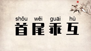 首尾乖互