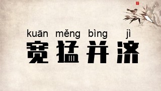 宽猛并济