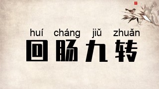回肠九转