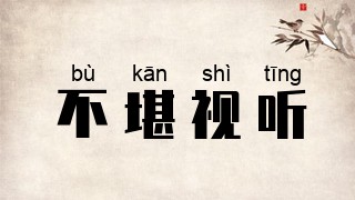 不堪视听