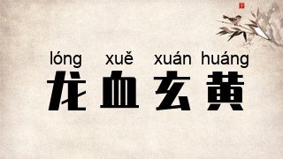 龙血玄黄