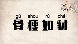 骨瘦如豺
