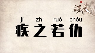 疾之若仇