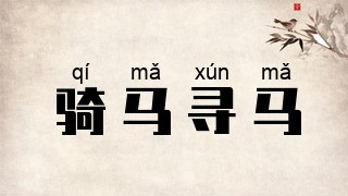 骑马寻马