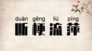 断梗流萍
