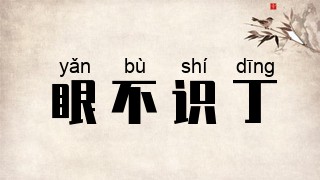 眼不识丁