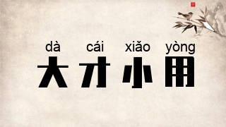大才小用