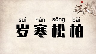 岁寒松柏
