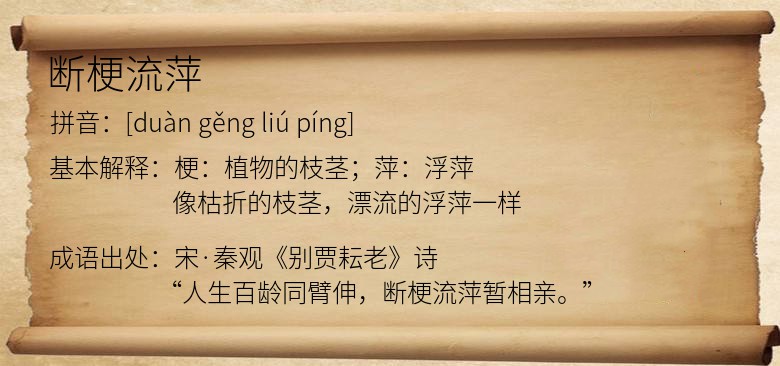 断梗流萍