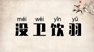 没卫饮羽