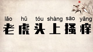 老虎头上搔痒